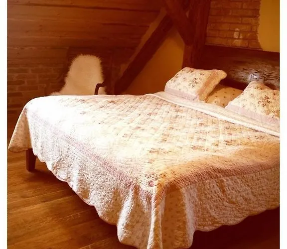 Hotel Dvur Olsiny -hotel And Horse-riding