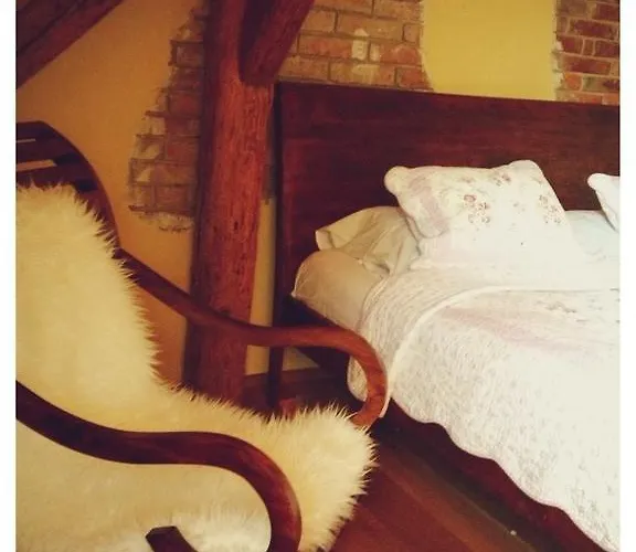 Dvur Olsiny -hotel And Horse-riding