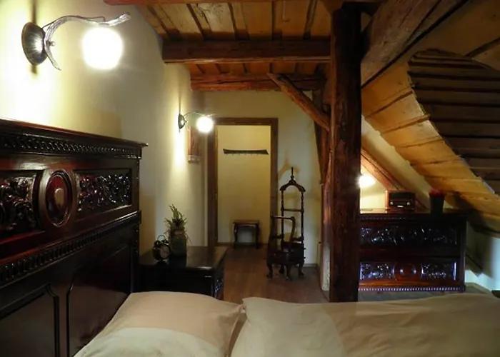Dvur Olsiny -hotel And Horse-riding
