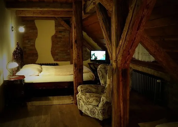 Dvur Olsiny -hotel And Horse-riding Karviná