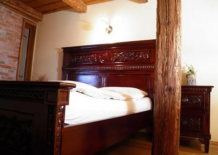 Dvur Olsiny -hotel And Horse-riding Karviná
