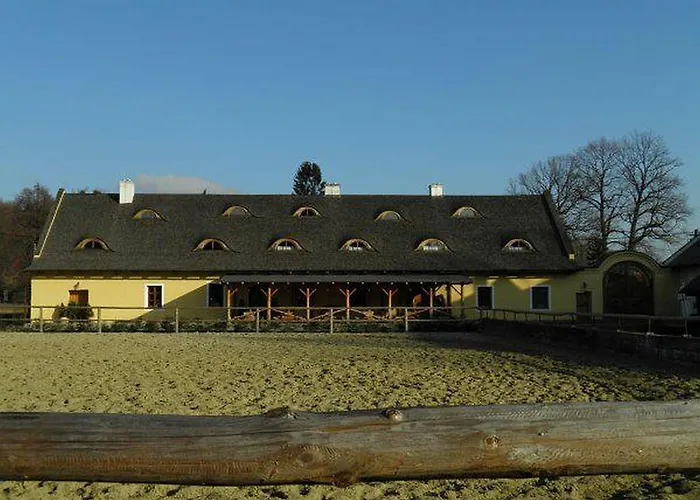 Hotel Dvur Olsiny -hotel And Horse-riding
