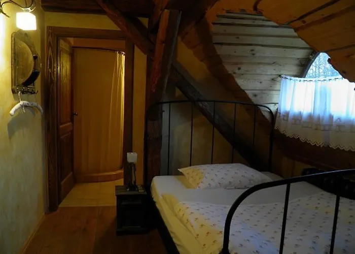 Dvur Olsiny -hotel And Horse-riding
