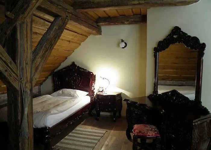 Hotel Dvur Olsiny -hotel And Horse-riding 3*