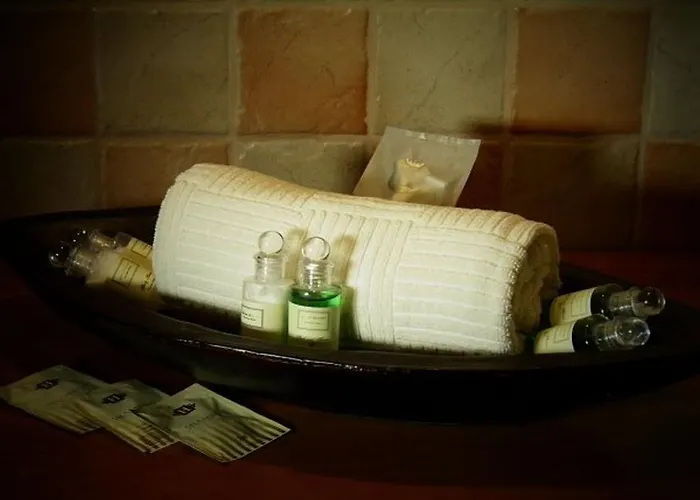 Hotel Dvur Olsiny -hotel And Horse-riding